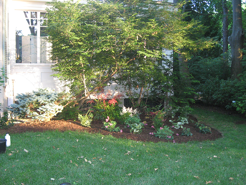 Fine Gardeners - Brookline Garden - Before & After