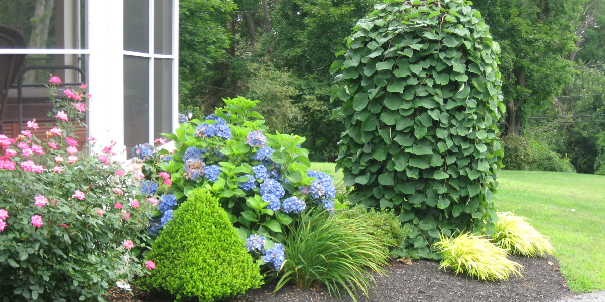 Fine Gardeners, Brookline, Needham, Newton, MA