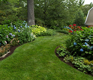 Gardening Services - Lawn and Garden - Newton, Needham, Brookline, MA