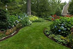 Garden and Lawn Maintenance - Newton, Needham, Brookline, MA